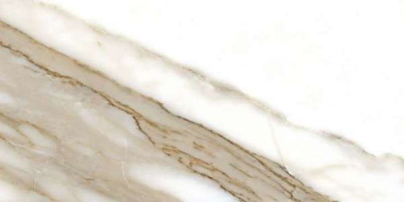 Calacatta rec 60x120