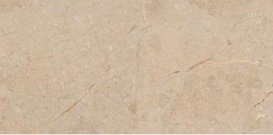 Camel Rustic Carving 60x120