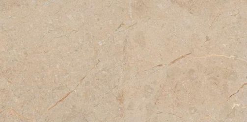 Camel Rustic Carving 60x120