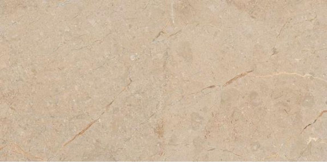 Camel Rustic Carving 60x120
