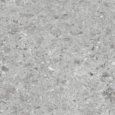 Canyon Silver 60x60