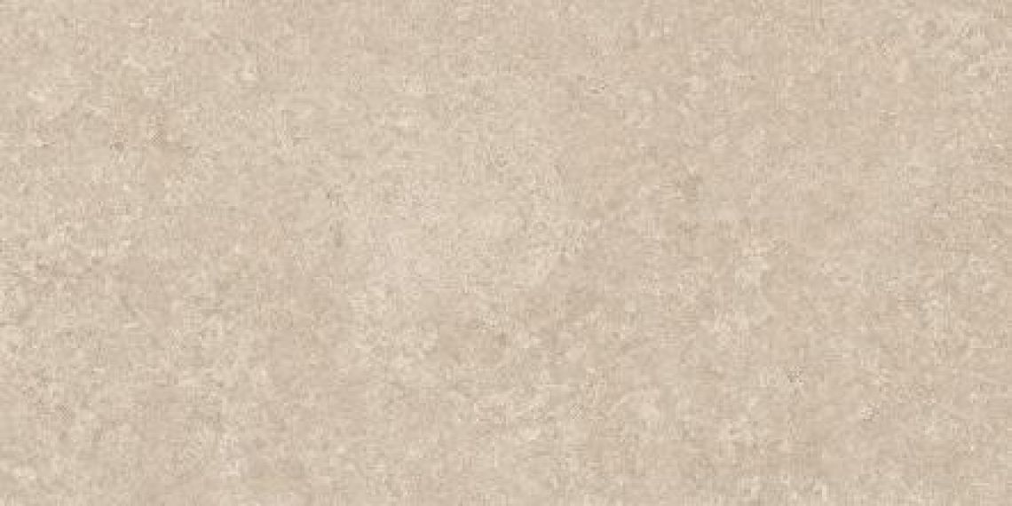 Cardiff серая 600х1200х11