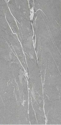 Cardoso Gray Matt Mix 160x320
