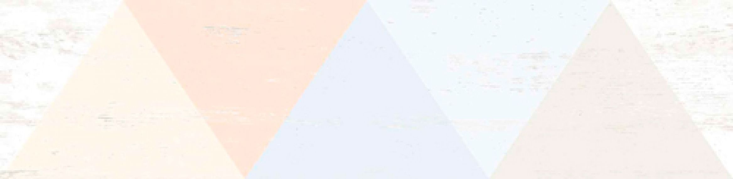 Caria-R Blanco 21,8x89,3 g.169