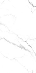 Caribbean White Glossy 60x120
