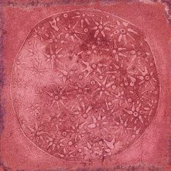Carlo Granate-B 20x20