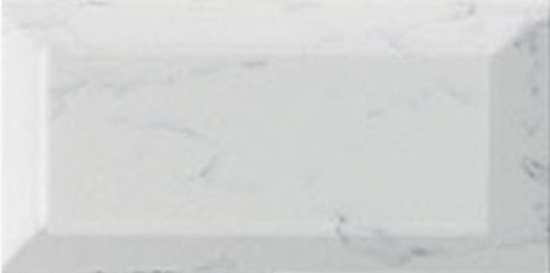 Carrara 10x20
