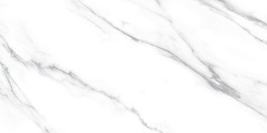 Carrara Dec A 60x120