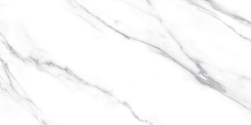 Carrara Dec A 60x120