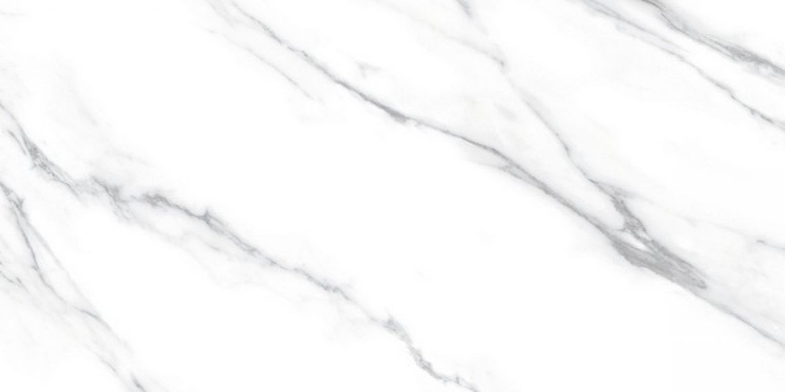 Carrara Dec A 60x120