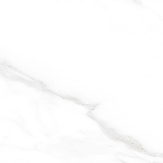Carrara Excellent Silver Белый Матовый 60х60