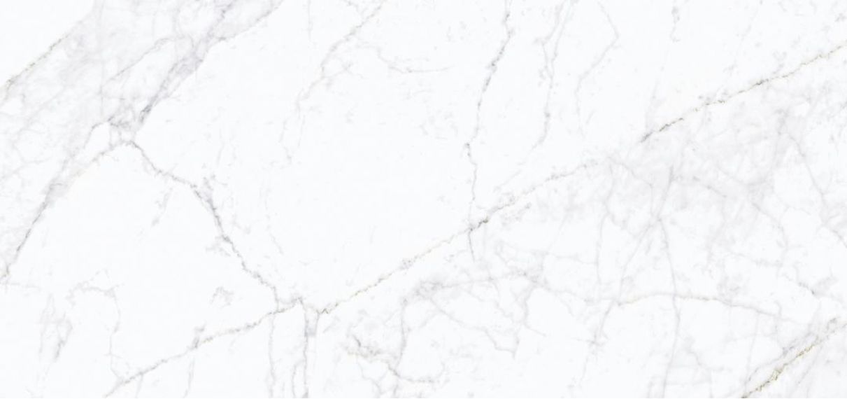 Carrara Fogg Polish 59,8х119,8