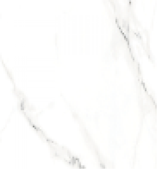 Carrara Glossy 60*60