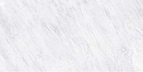 Carrara Honed 60x120