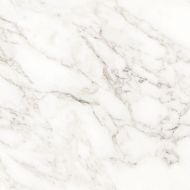 Carrara Immense Белый Полированный 60х60
