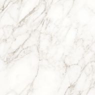 Carrara Immense Белый Полированный 80х80