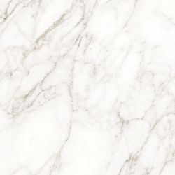 Carrara Immense Белый Полированный 80х80