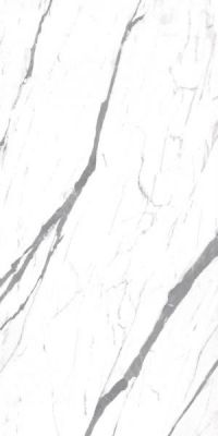 Carrara Smart Glossy 60x120