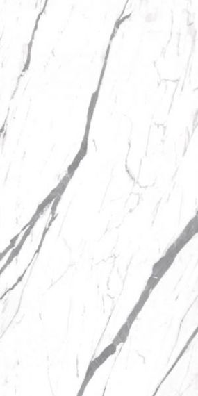 Carrara Smart Glossy 60x120
