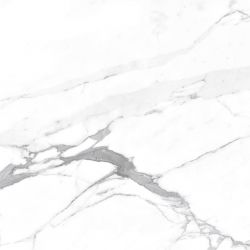 Carrara Terrific Silver Белый Матовый 60х60