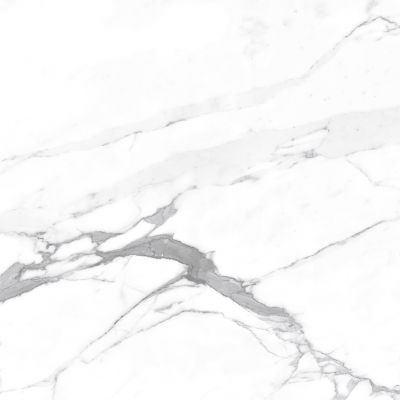 Carrara Terrific Silver Белый Матовый 60х60