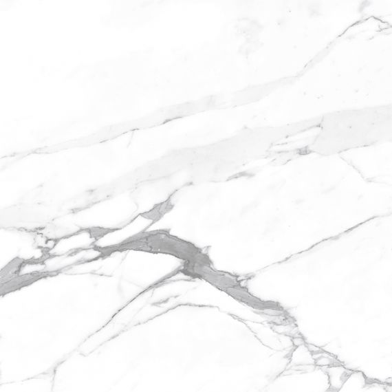 Carrara Terrific Silver Белый Матовый 60х60