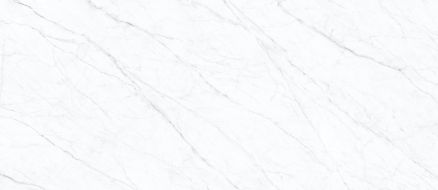 Carrara Twig White 120х278х6