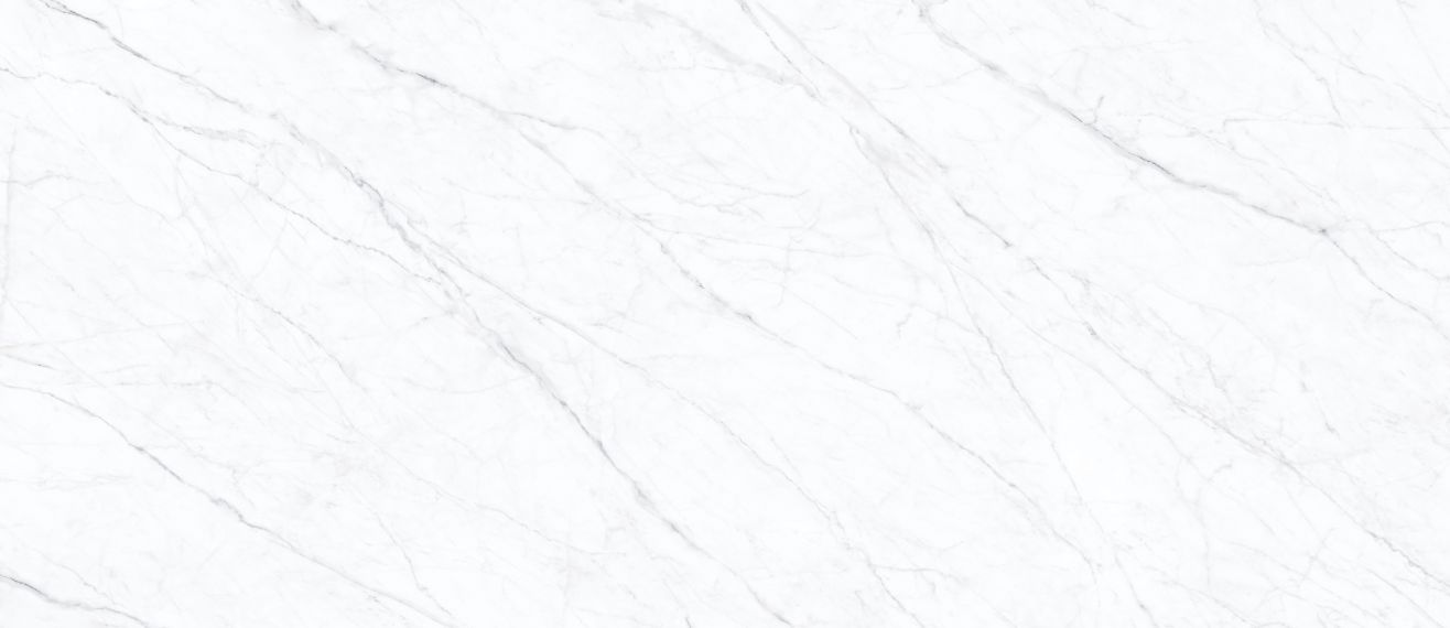 Carrara Twig White 120х278х6