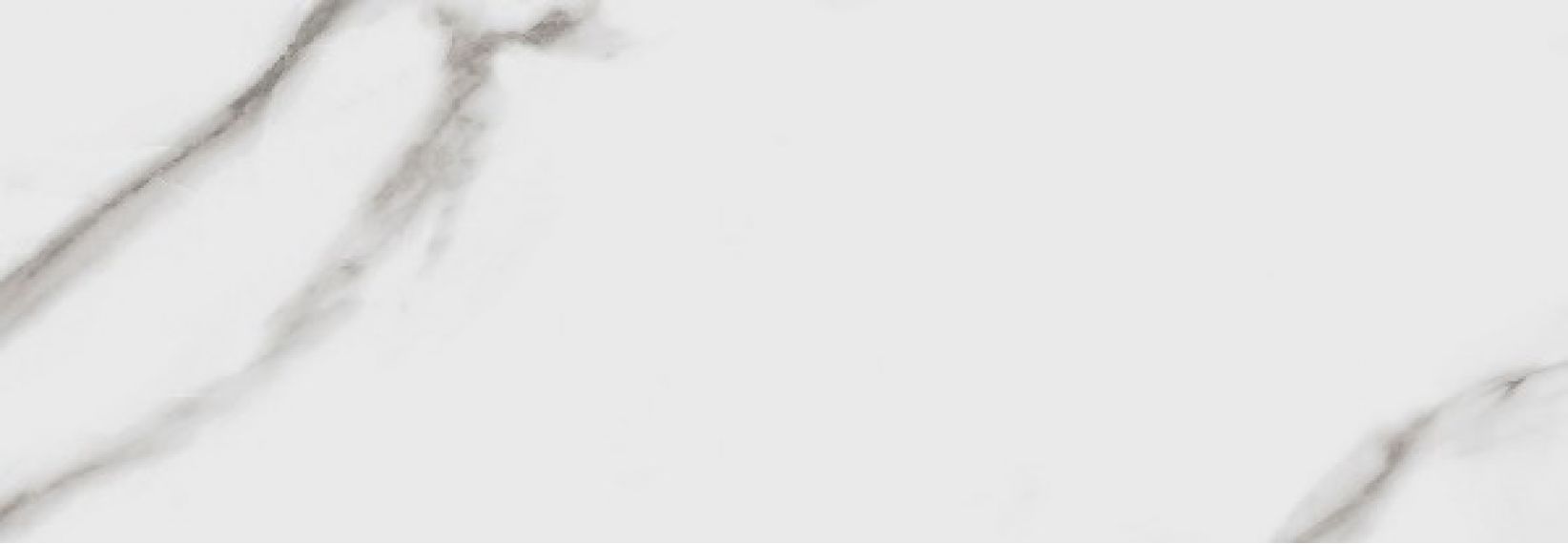 Carrara White 31.6x90