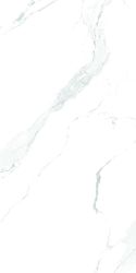 Carrara White Rustic Punch 60х120