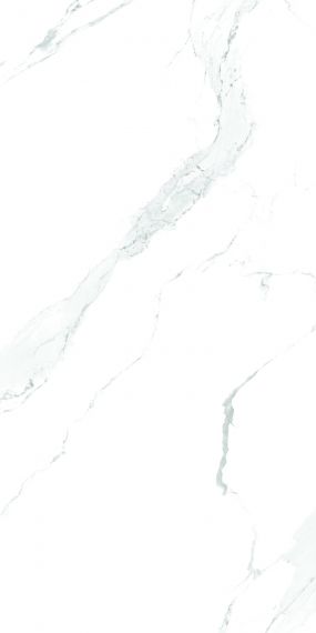 Carrara White Rustic Punch 60х120