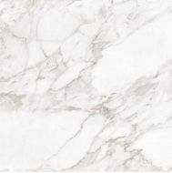 Carrara White Shine 60x60