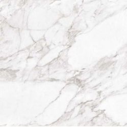 Carrara White Shine 60x60