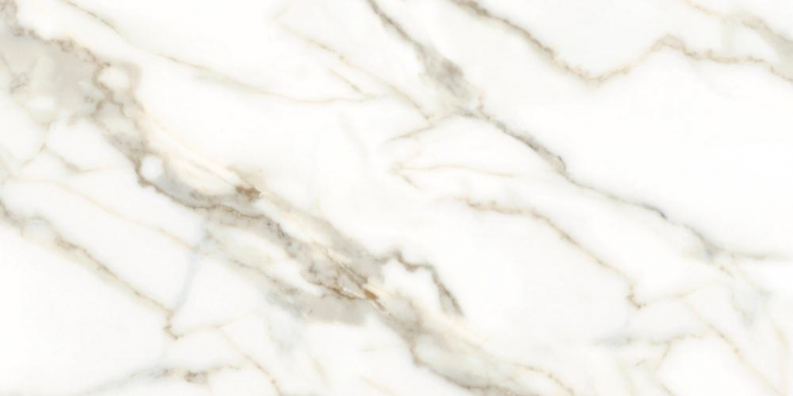 Carrara white 60x120