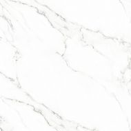 Carrara white 60x60