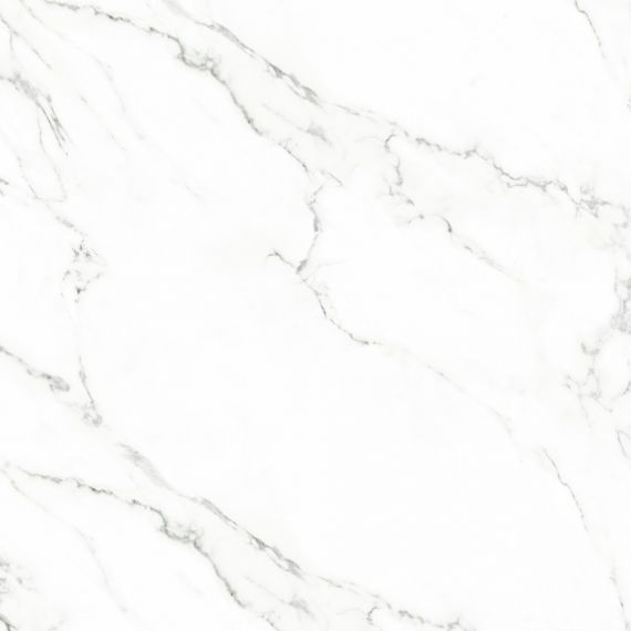 Carrara white 60x60