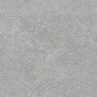 Casa Grey Glossy 100x100