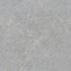 Casa Grey Glossy 100x100