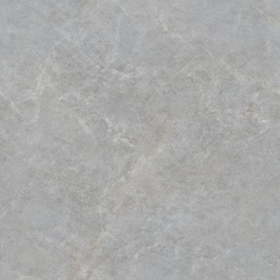 Casa Grey Glossy 100x100