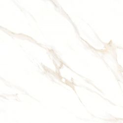 Cassini carrara 60x60