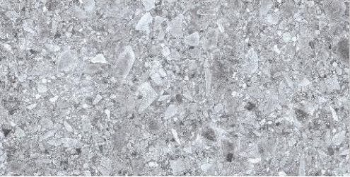 Celtic Gray Rectified 59.7x119.8
