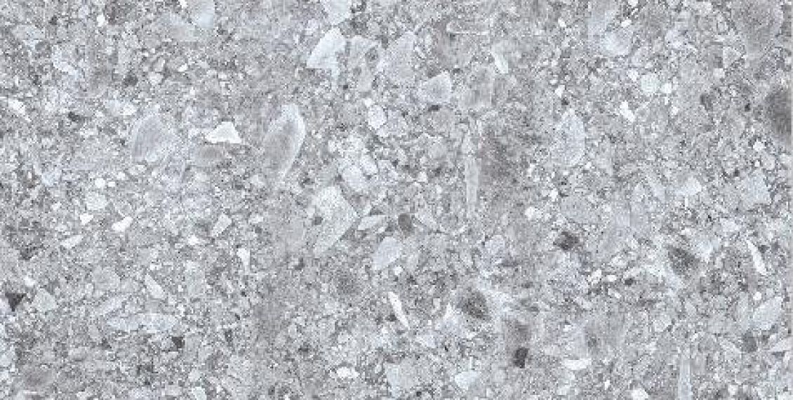 Celtic Gray Rectified 59.7x119.8