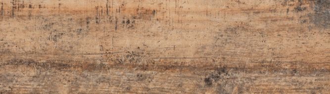 Celtis Honey 600x175x9