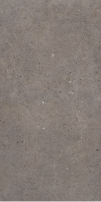 Cement Stone Dark Grey RC 60x120