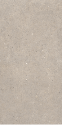 Cement Stone Greige Lapp RC 60x120