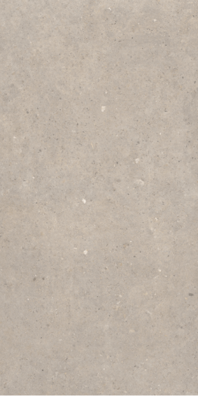 Cement Stone Greige Lapp RC 60x120