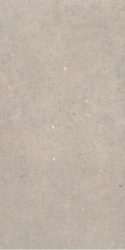 Cement Stone Greige RC 60x120