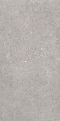 Cement Stone Grey Lapp 60x120