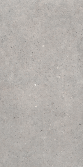 Cement Stone Grey Lapp 60x120
