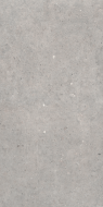 Cement Stone Grey RC 60x120